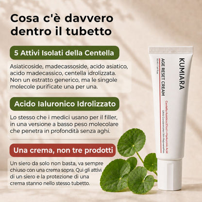 Crema Age Reset TANVII