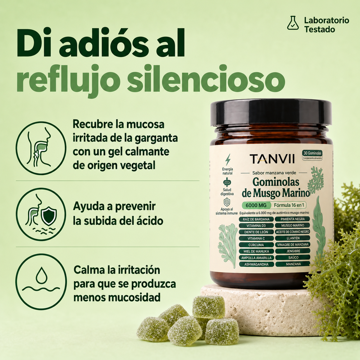 Gominolas de musgo marino TANVII para el reflujo silencioso
