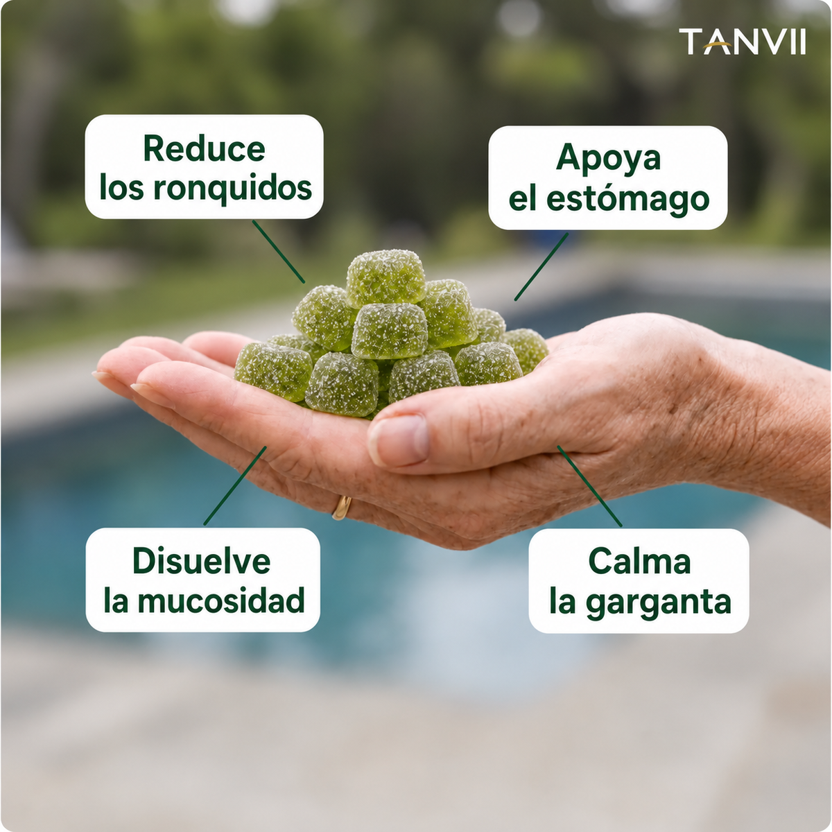 Gominolas verdes de Sea Moss TANVII en la mano