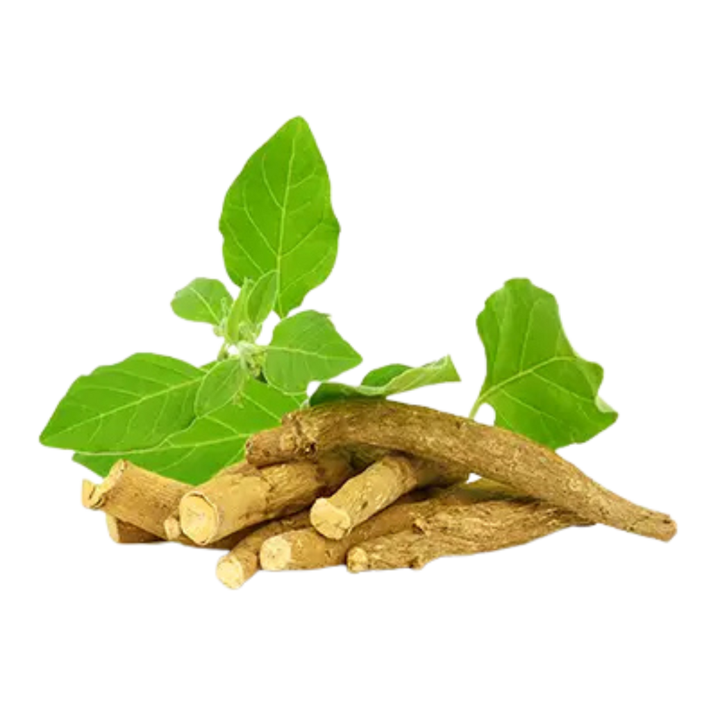Raíces y hojas de ashwagandha