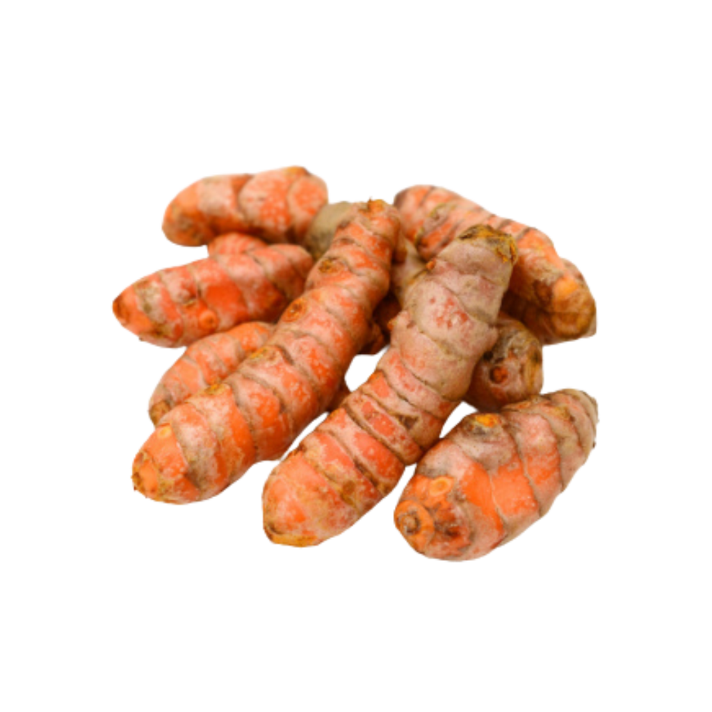 Raíces de cúrcuma frescas