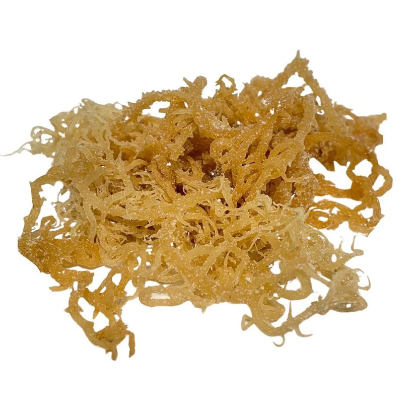 Musgo marino seco